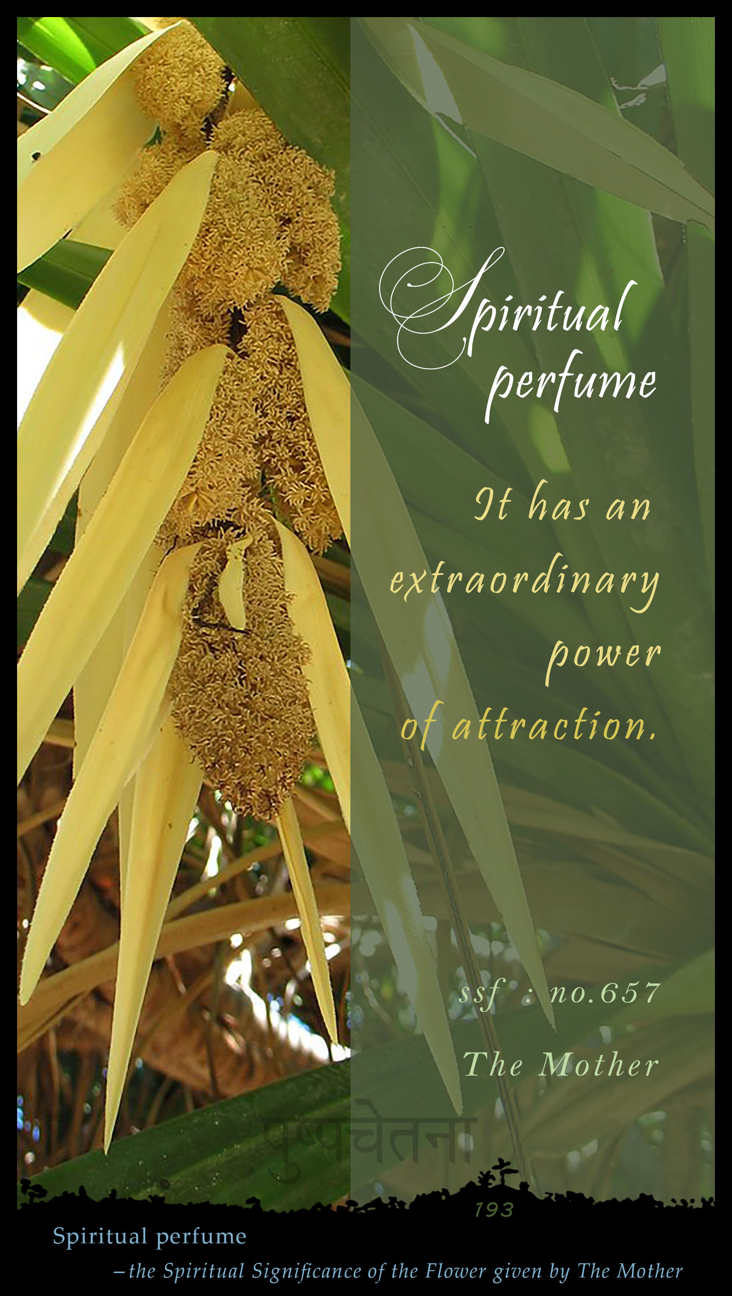 Spiritual Perfume